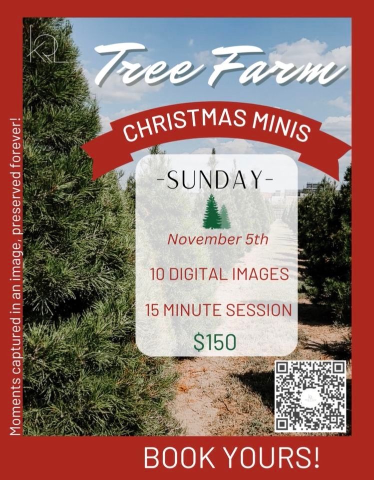 Christmas Tree Farm Minis 2023 Owasso Christmas Tree and Berry Farm