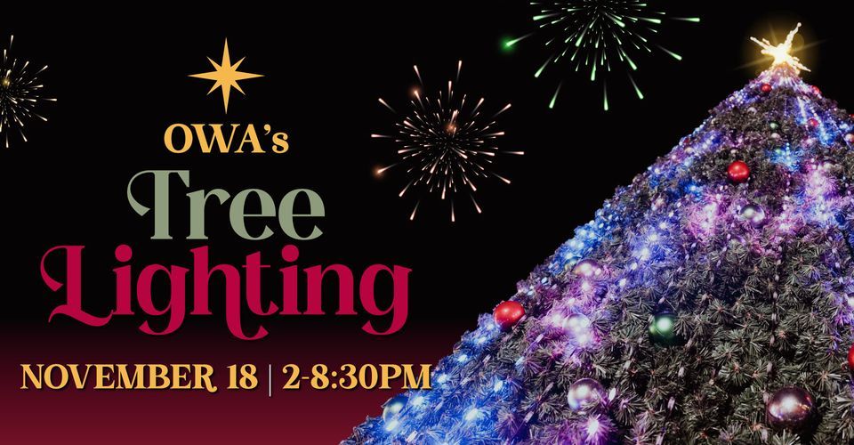 Tree Lighting Downtown OWA, Summerdale, AL November 18, 2023