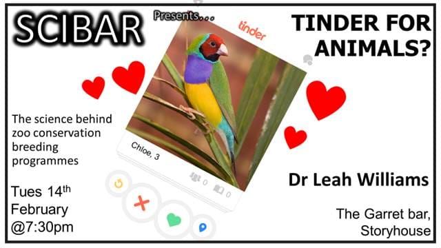 Tinder for Animals? | StoryhouseLive, Chester, EN | February 14, 2023 Tinder for Animals? | StoryhouseLive, Chester, EN | February 14, 2023