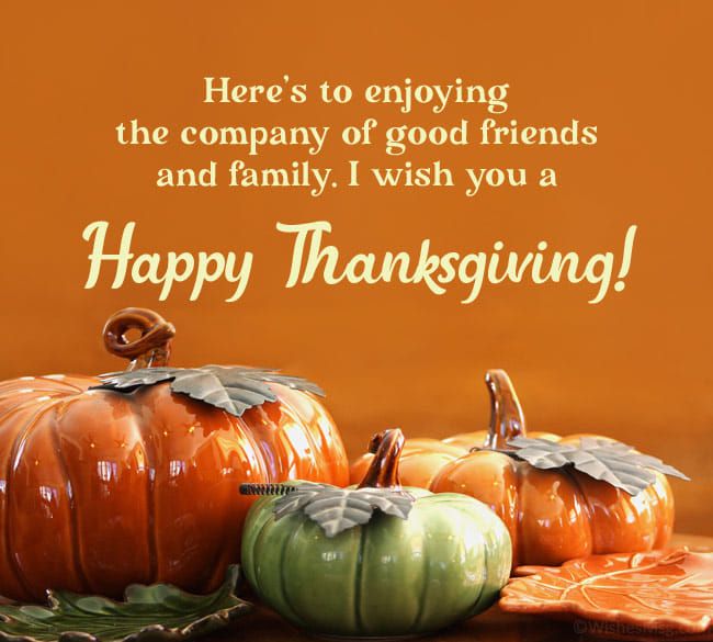 DeMont Family Swim School - Happy Thanksgiving! DFSS wishes everyone a  wonderful day with friends, family, food, and football! 