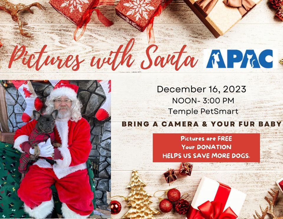 Petsmart Adoption event with Santa PetSmart (Temple, TX) December