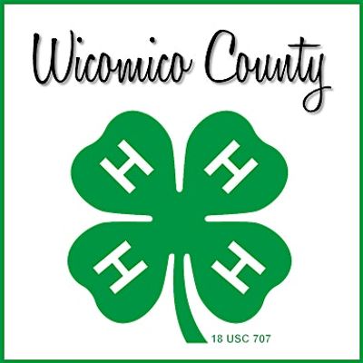 Wicomico County 4-H Youth Development Program