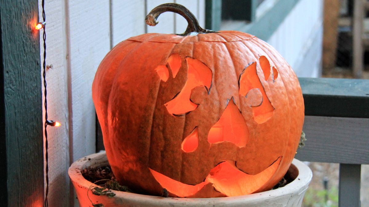 Singles Halloween\/ Day of Dead activity