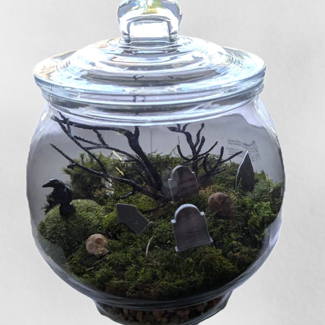 Spooky Terrarium Workshop at Werner Books