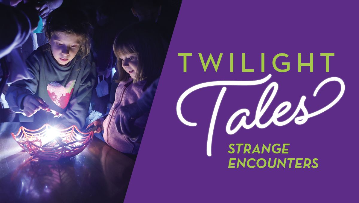 Twilight Tales: Strange Encounters (ages 6+)