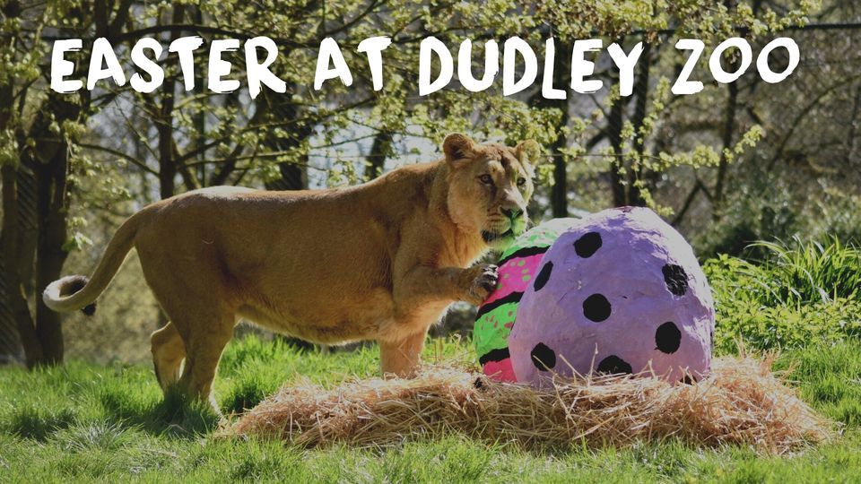 Easter Family Fun at Dudley Zoo & Castle