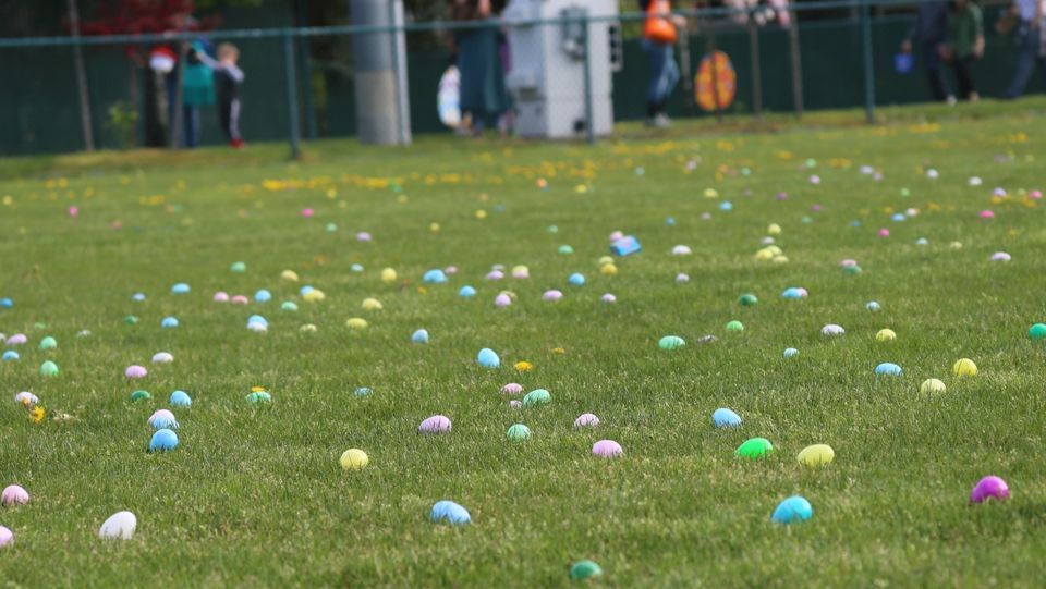 Fife Easter Festival and Egg hunt  Dacca Park, Tacoma, WA  April 8, 2023