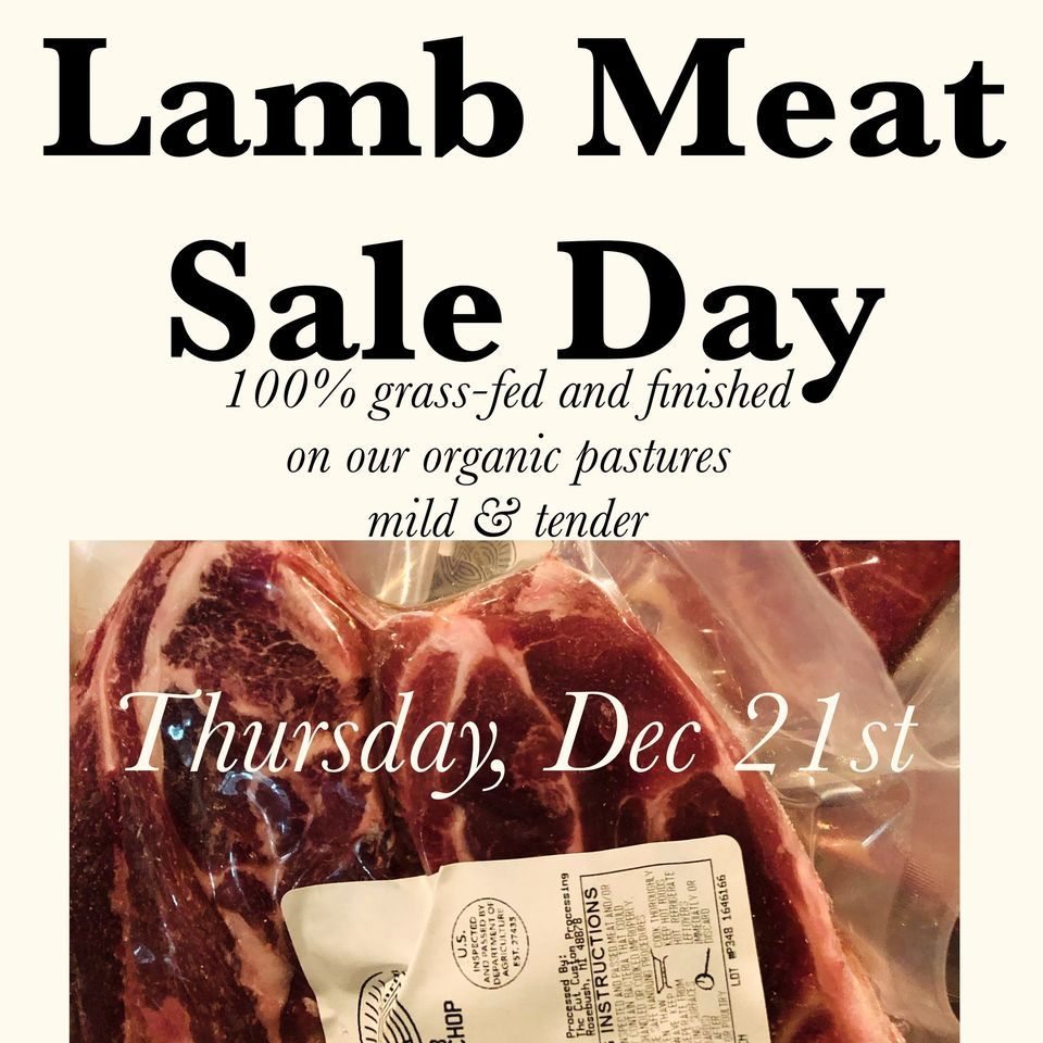 Lamb Meat Sale Day | Wild Coyote Farm, Berrien Springs, MI | December