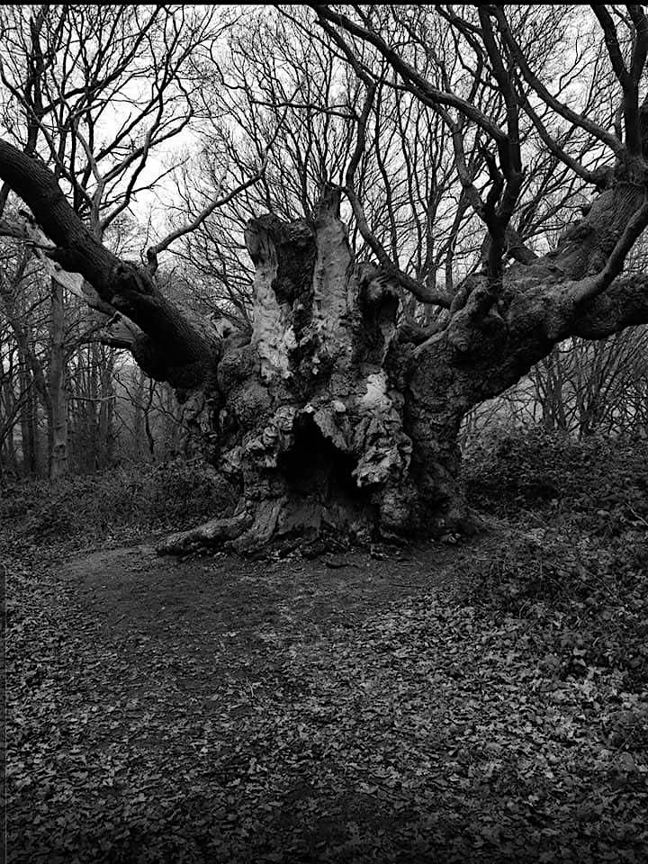 The Witch Finder General Essex Interactive Ghost Walk With Haunting Nights