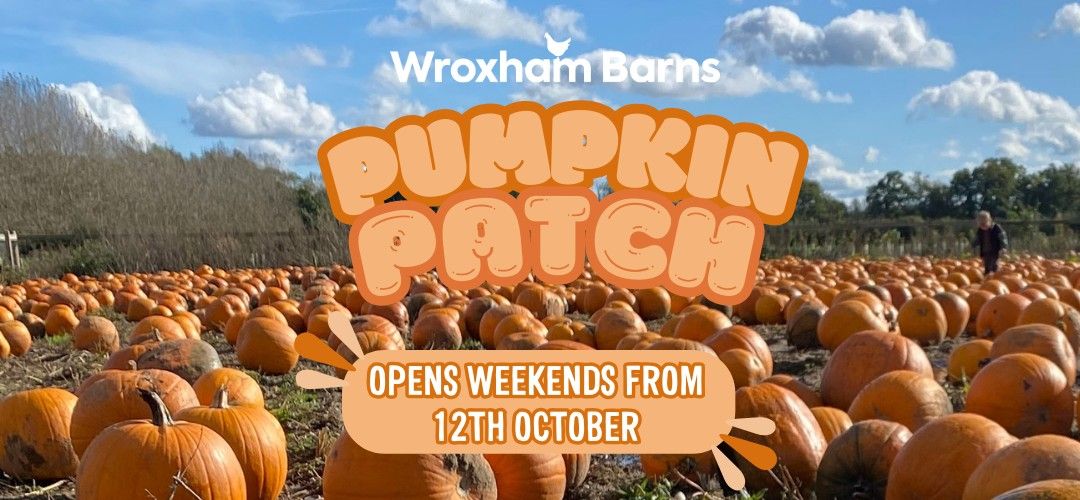 Wroxham Barns Pumpkin Patch Open Weekends