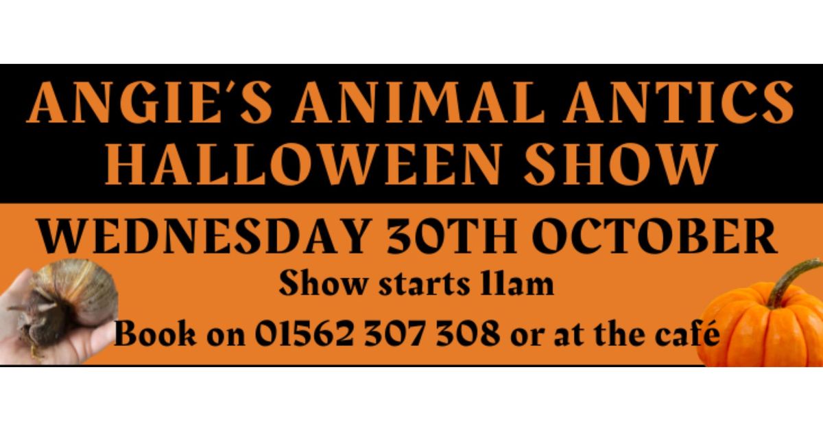 Angie's Animal Antics Halloween Show - SOLD OUT! 