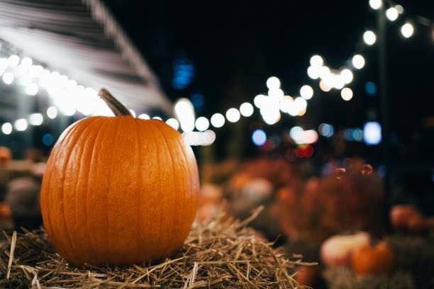 Pumpkin Festival + Fall Market