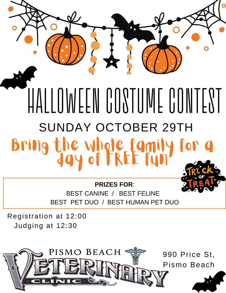 Halloween Pet Costume Contest | Pismo Beach Veterinary Clinic | October ...