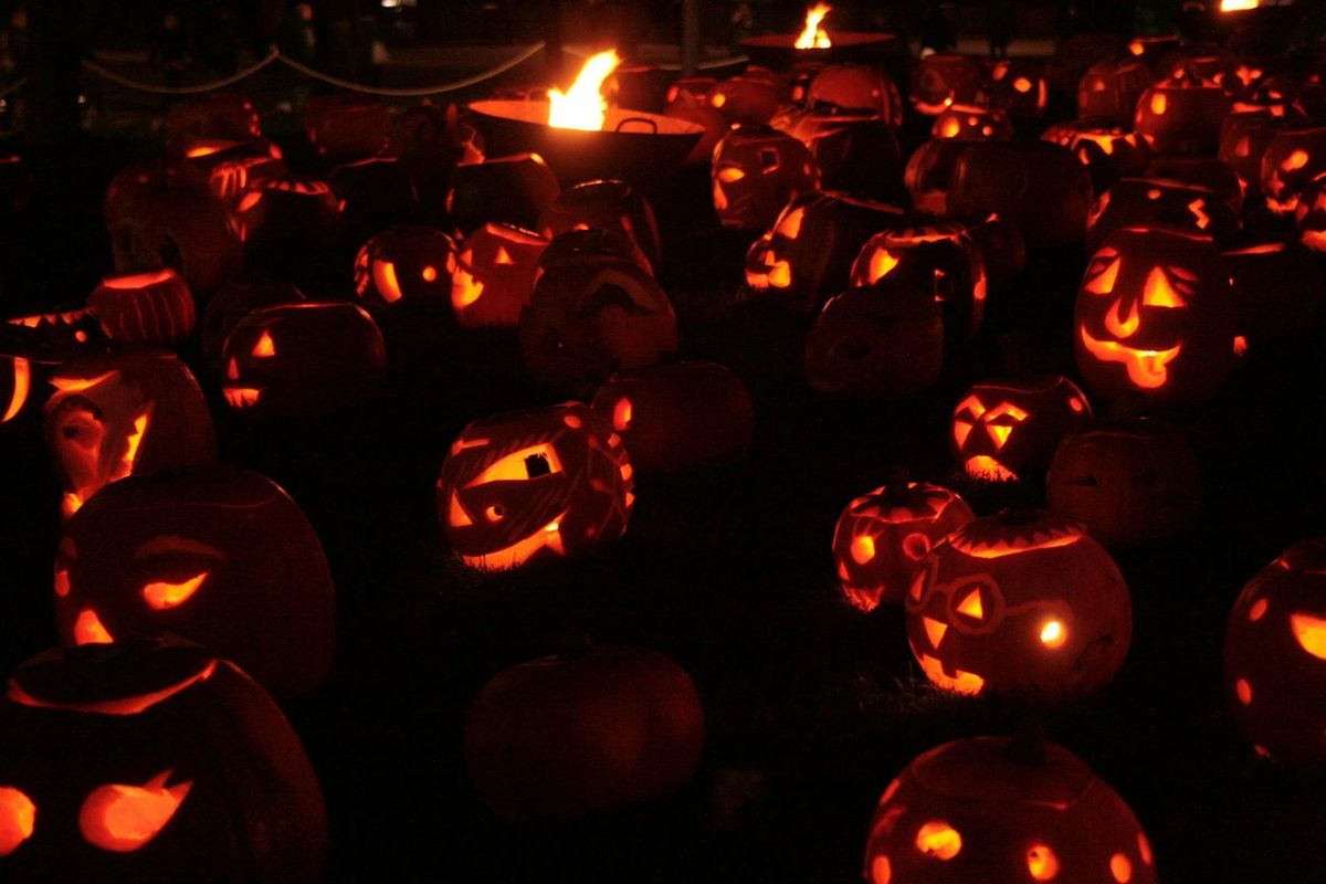 Pumpkin Carving in the Woods