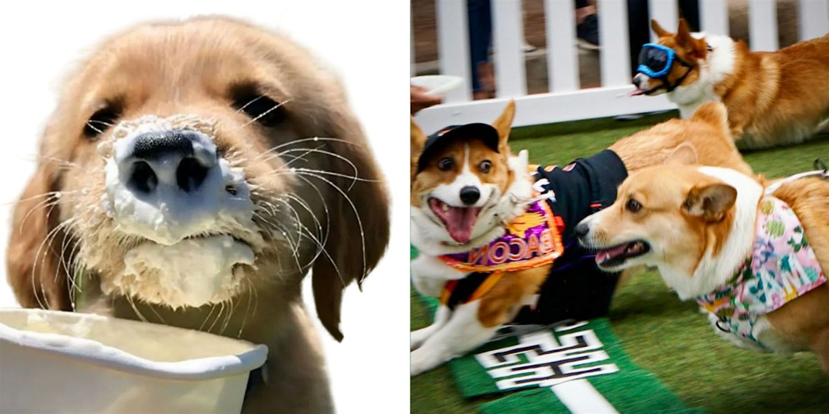 FREE Dog Event @ High Street PHOENIX!