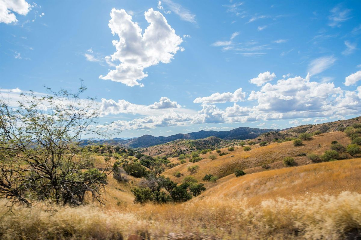 Adventurous Scavenger Hunt! - Benson\u2018s Baffling Treasure Trek