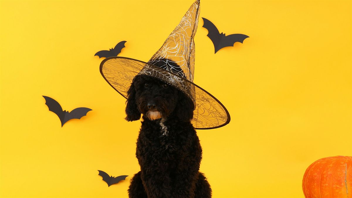 Howloween Costume Contest - Members Only!