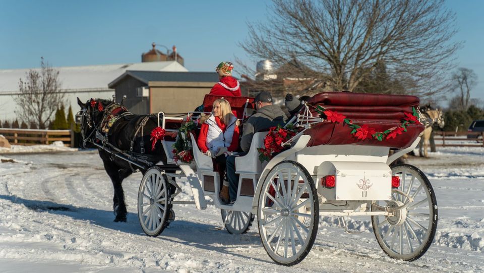Horse Drawn Rides During Country Christmas Port Farms, Edinboro, PA