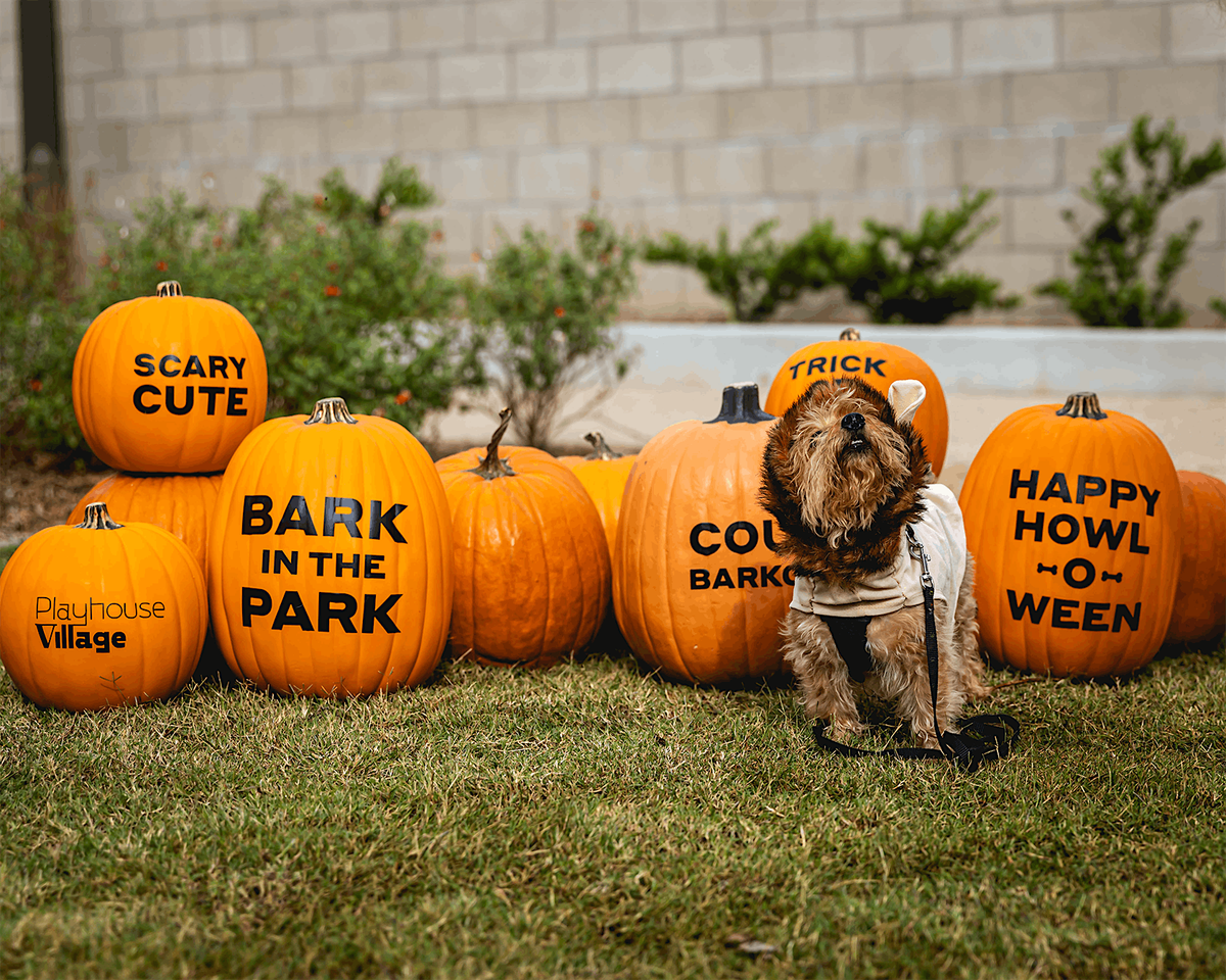 Bark in the Park: Howl-O-Ween