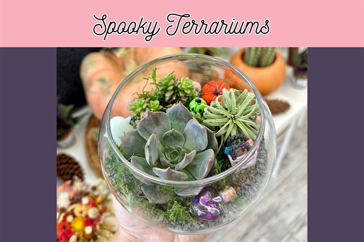 Spooky Terrariums