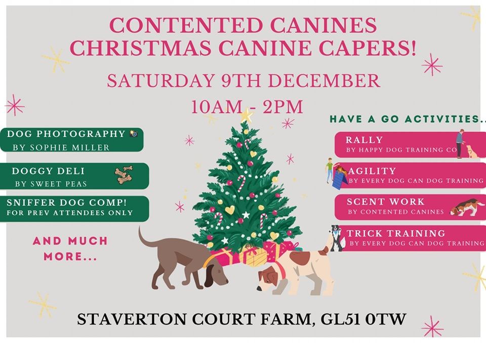 PopUp Shop at Contented Canines Christmas Canine Capers Contented