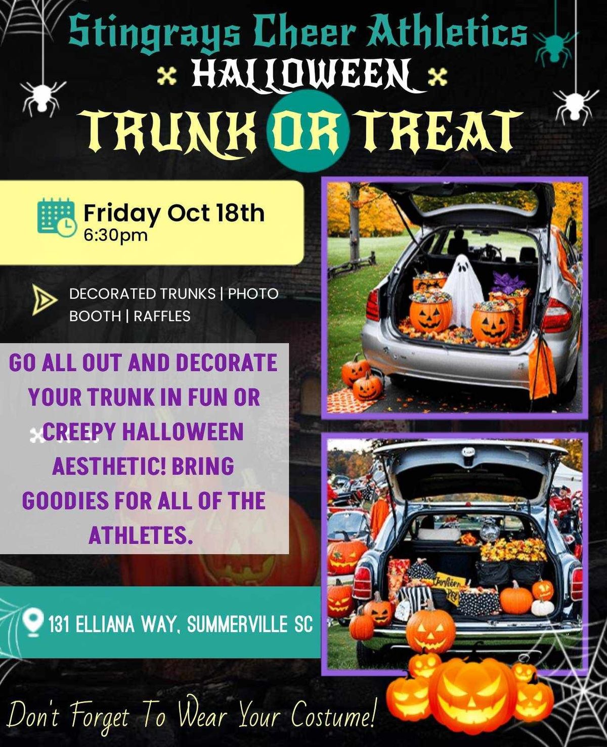 Stingrays Cheer Trunk or Treat 