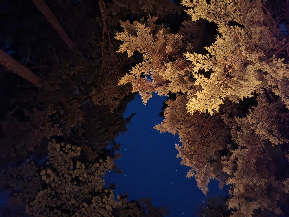 Sound for the Soul: A Samhain Offering