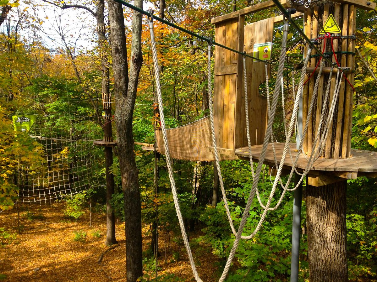 Learn More: Fall Events at Go Ape Indianapolis