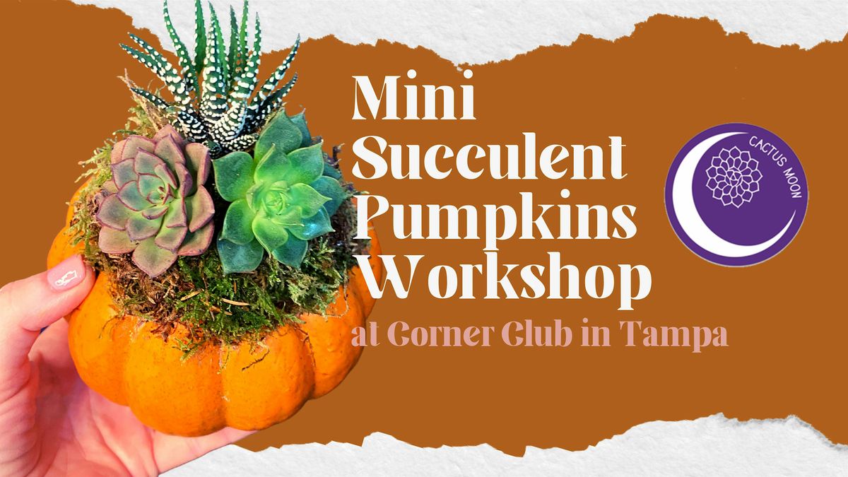 'Lil Succulent Pumpkins Workshop at Corner Club