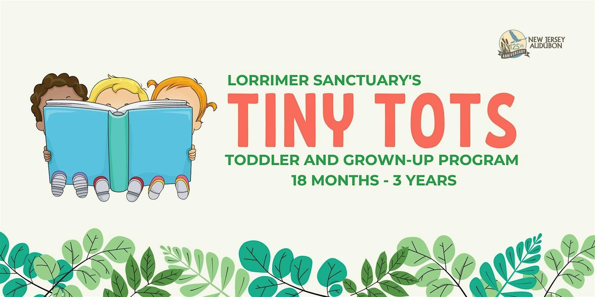 Tiny Tots - Fall Series - Morning Session