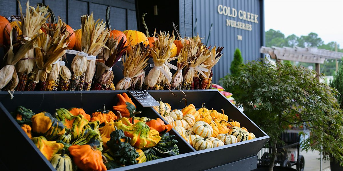 Fall Festival