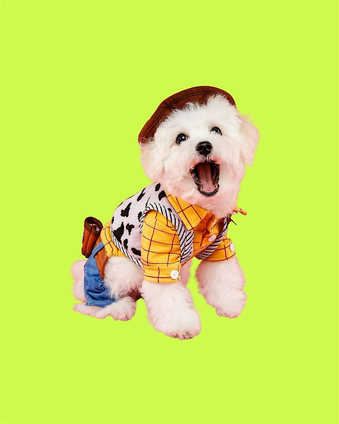 Yappy Hour: Pup-or-Treat at Aloft Minneapolis