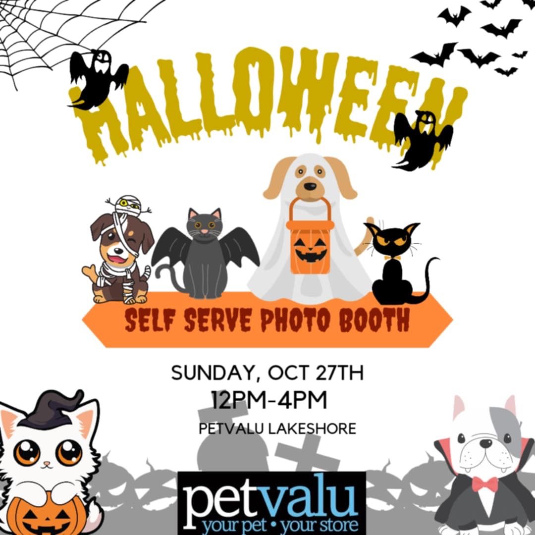 Halloween Pet Photo Booth \ud83c\udf83