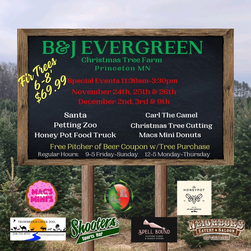 Christmas Trees and Holiday Fun! B & J Tree Farms, Princeton, MN