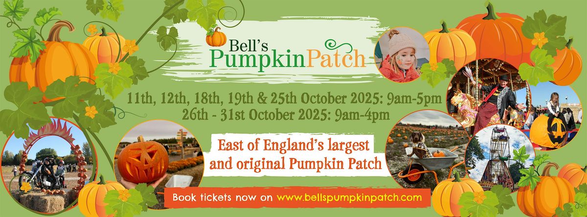 Bell's Pumpkin Patch - East of England's largest and original Pumpkin Patch