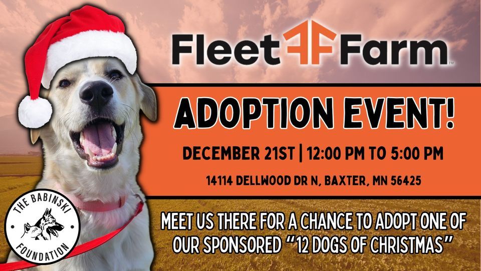 The 12 Dogs of Christmas at Fleet Farm! Fleet Farm Baxter (Baxter