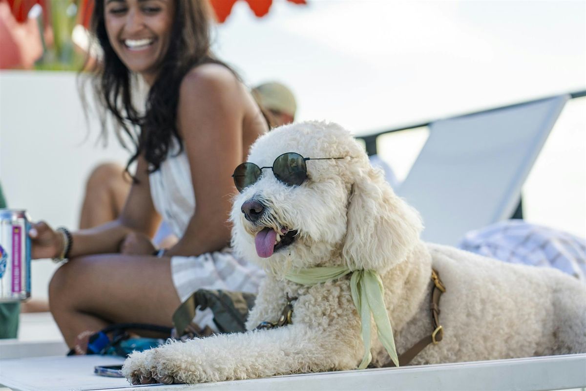 Howl-o-ween Dog Costume Contest at Higher Ground