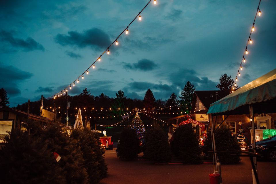 Christmas Tree Sales Knoebels Three Ponds Golf Course, Elysburg, PA