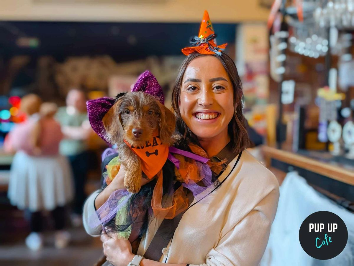 Halloween Dachshund Pup Up Cafe - Cardiff \ud83c\udf83