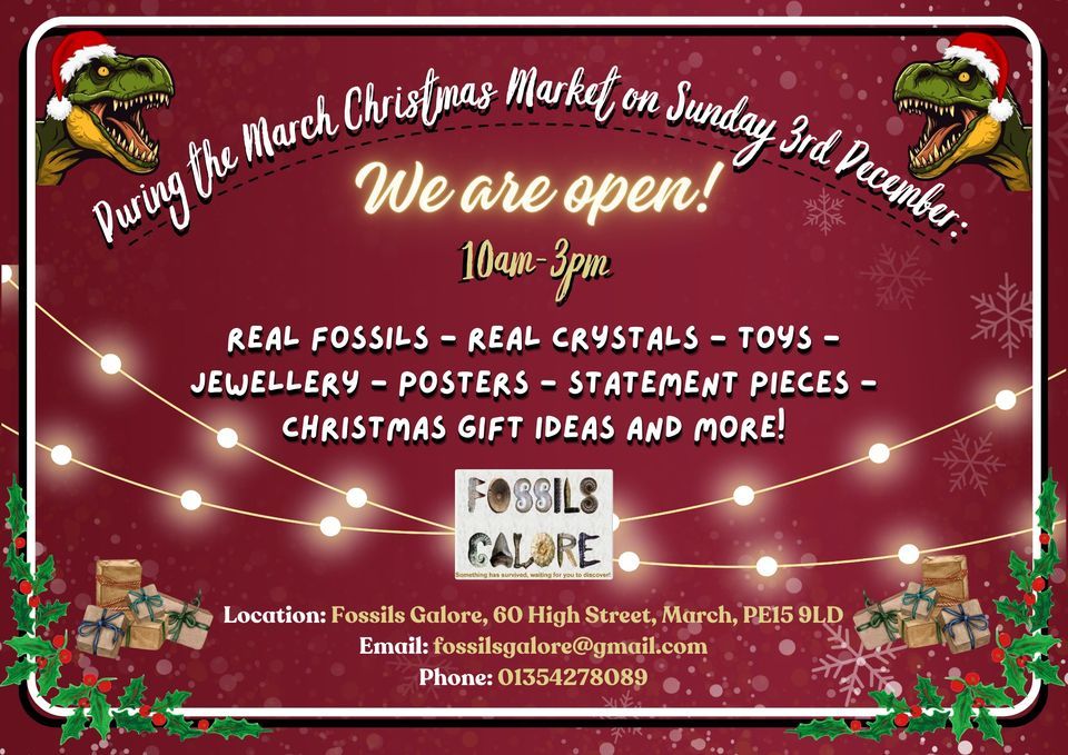 Open for March Christmas Market Fossils Galore Staff, March, EN