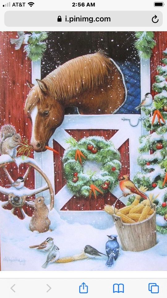 Christmas Tack Auction Middlesex Livestock Auction, Middlefield, CT