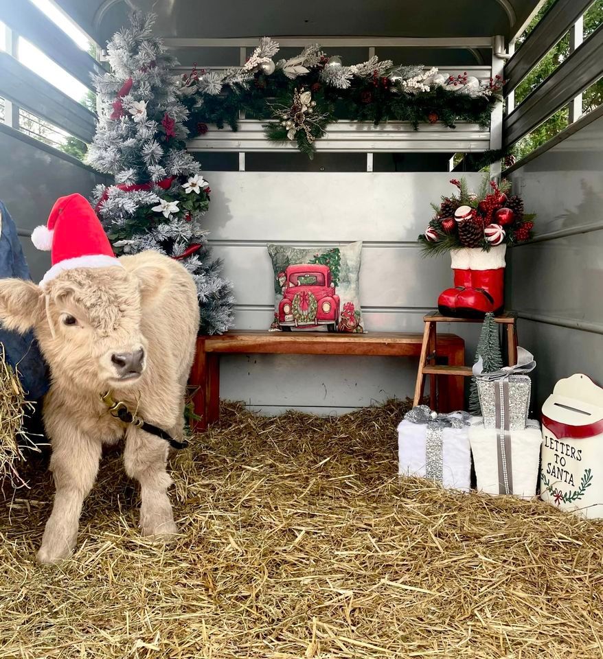 Christmas Photos & Petting Zoo Under the Lights Annmarie Sculpture Garden & Arts Center