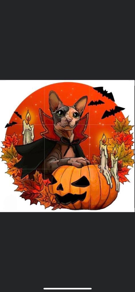 Halloween Paint your pet \ud83d\udc36