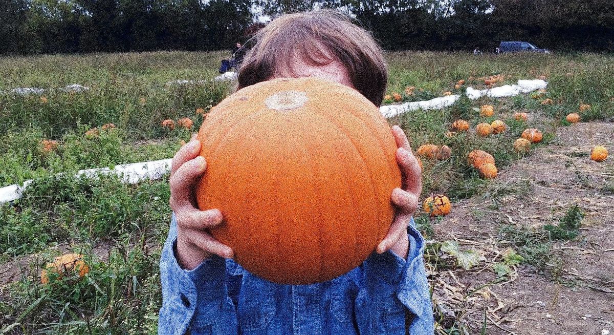 Pumpkin Carving and Crafts