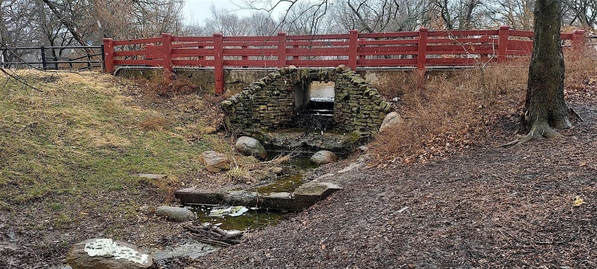 Gompers Lagoon & Bohemian Cemetery hike