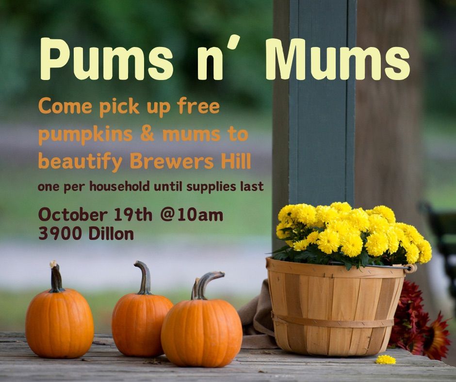 Pums n' Mums - Free Pumpkins & Mums to Beautify Brewers Hill