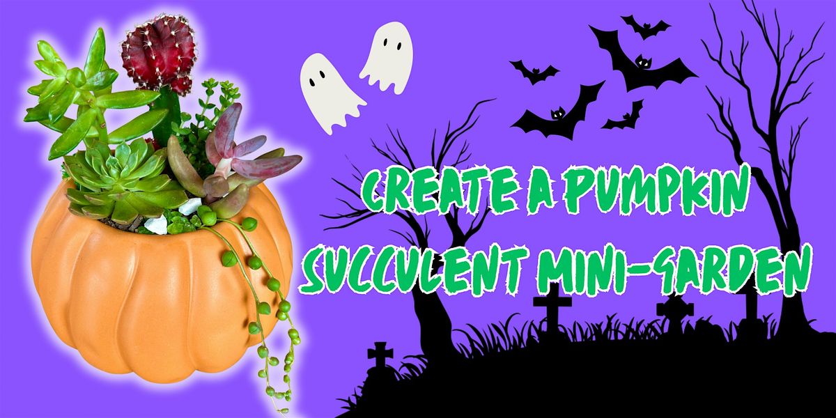 Create a Ceramic Pumpkin Mini-Garden with Succulents