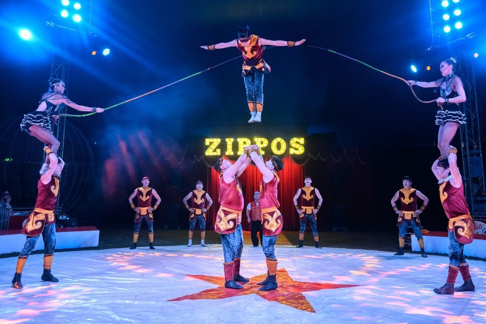 Zippos Circus \u2013 Coventry 5\u201315 May 2023 NEW DATES