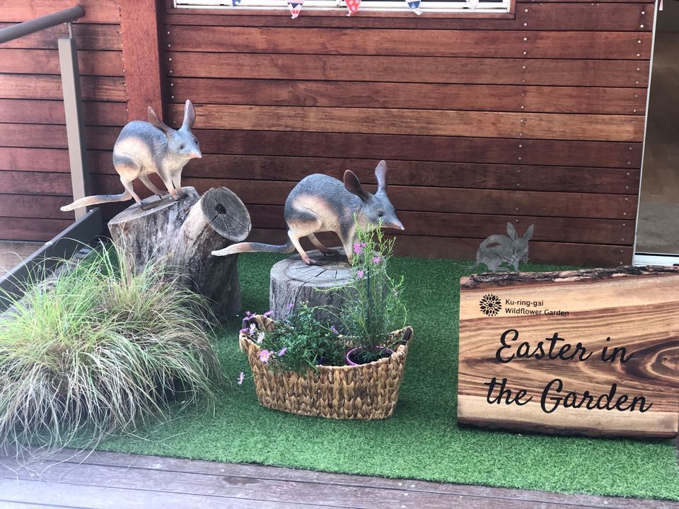 Nature Play (0-5 yrs) - The Easter Bilby