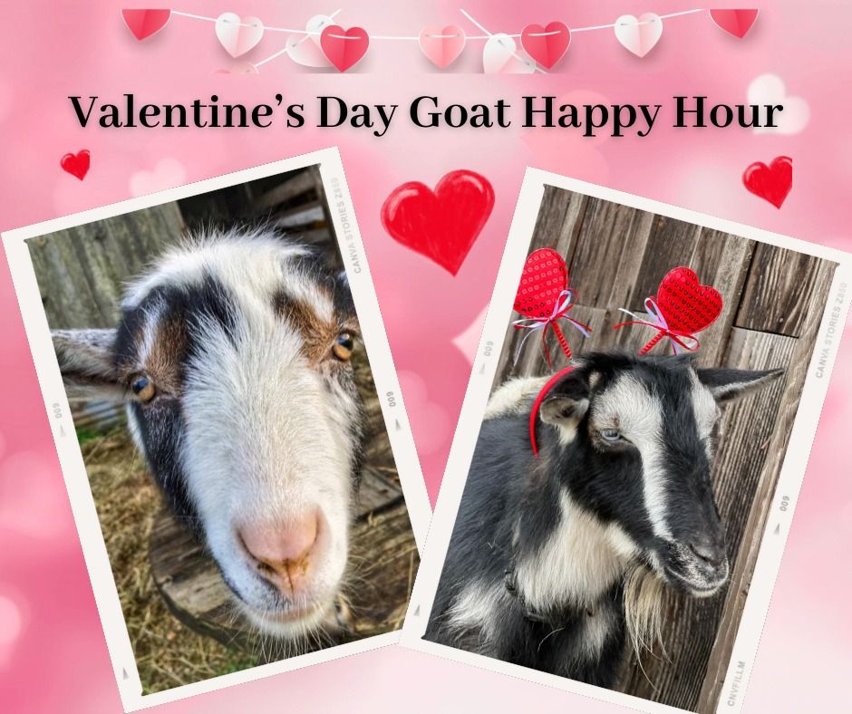 Valentines Day Goat Happy Hour 26641 Bellfountain Road Monroe, OR